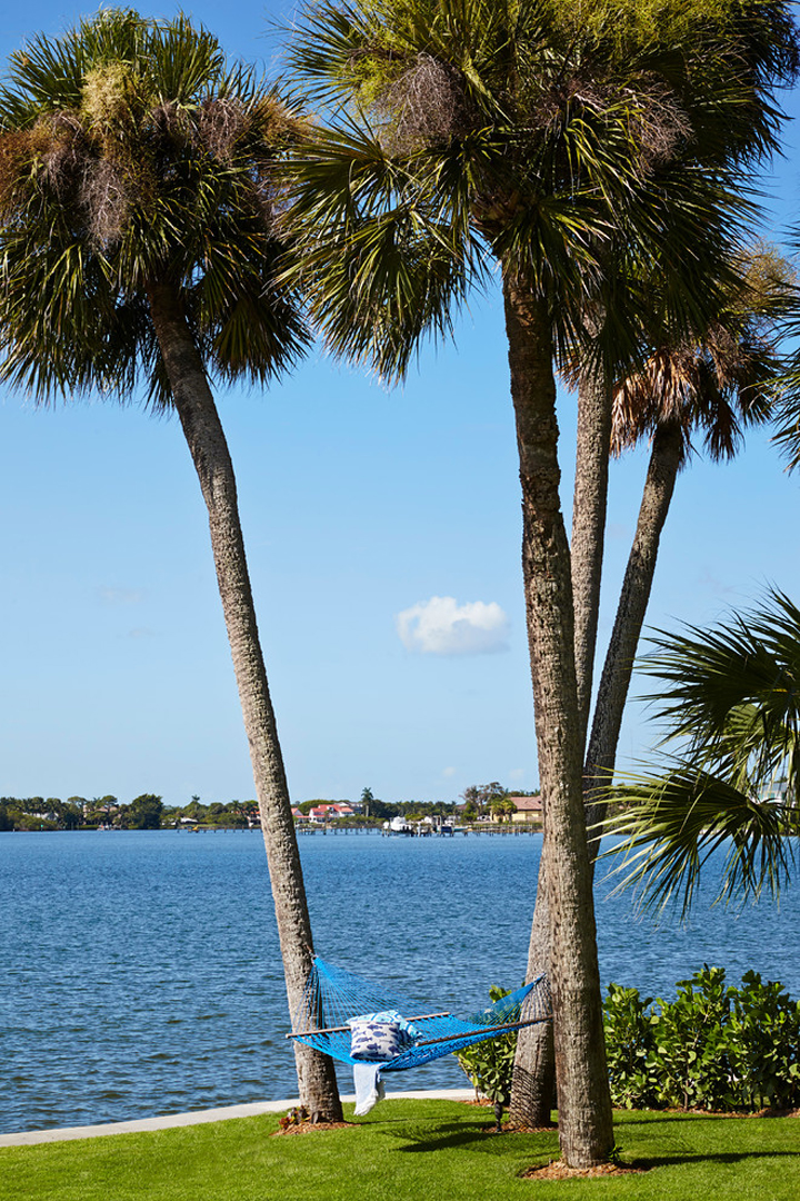 hammock-palm-trees